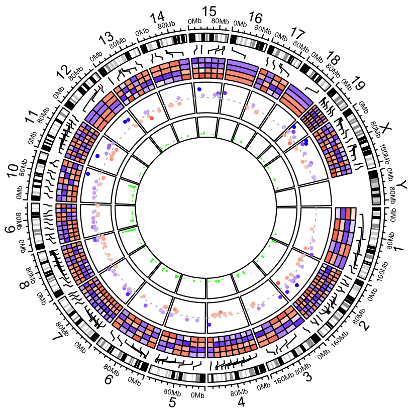 In Vitro and In Silico Retinal Models of Neurodevelopmental Disorders